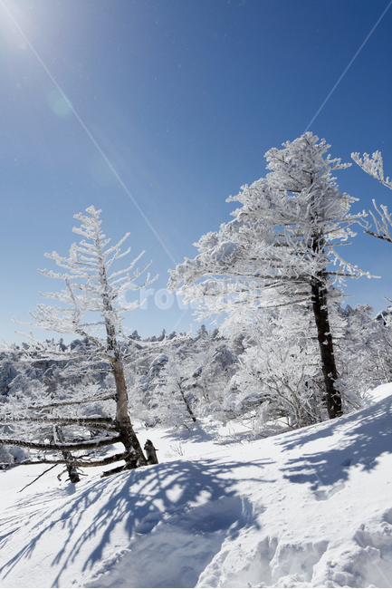 겨울,한라산,설경,자연,눈꽃,겨울,계절,winter,season,자연,풍경,nature,landscape,outdoors,옥외