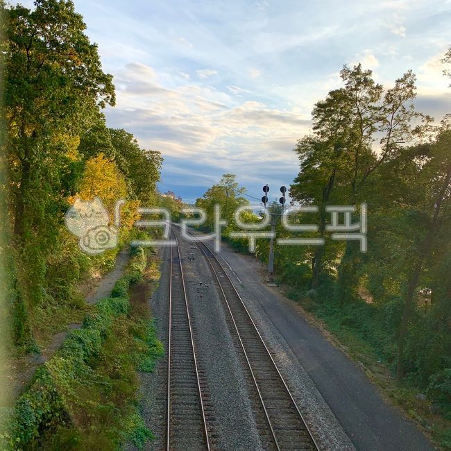 기찻길,railway,레일,미국,공원,외국,해외,숲길,기차,철도,도로