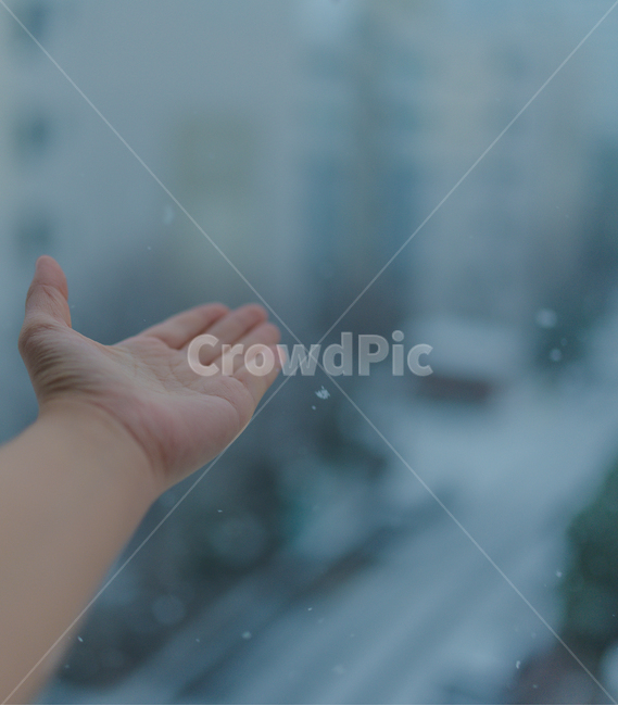 눈,겨울,싸라기눈,싸락눈,겨울눈,snow,계절,겨울,계절,winter,season,사람,인물,인간,human,person,신체일부,몸,body,감성,sensible,feeling