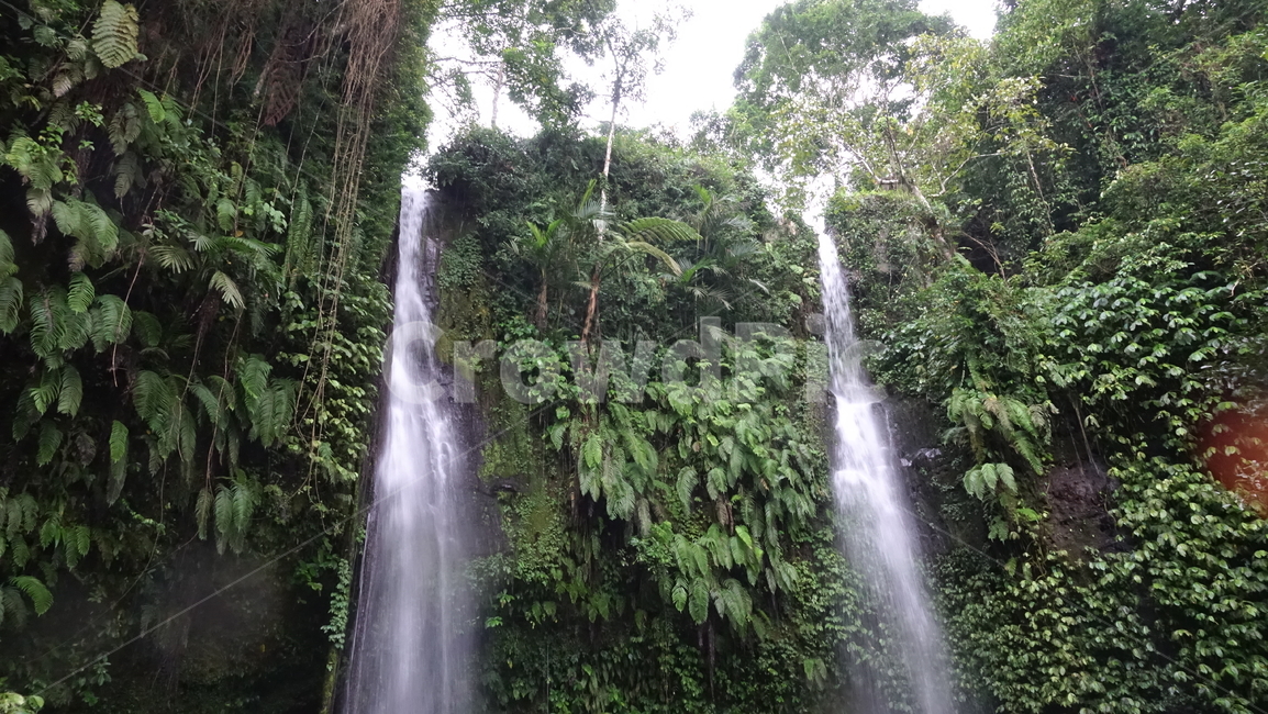 폭포,fall,물,water,nature,자연,숲,열대,식물,롬복,인도네시아,린자니산,린자니