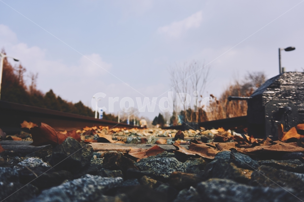 철길,기차,기찻길,자갈,돌,rail,railroad,railway,train,rock,rocks,leaf,감성,sensible,feeling,교통,교통수단,traffic,transportation,rubble,파편,gravel,road,도로,dirt road,흙길,ground,바닥