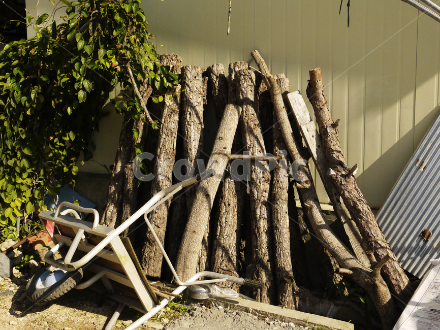 lumber,재목,rotten,textured,rough,plant,natural,felledwood,firewoodtexture,fireplacewood,firewoodbackground,pine,pile,material,bark,birch,oak,fuel,seasoned,dried,heap,alotoffirewood,rural,stacked,energy,forest,cut,pattern,brown,nature,background,hardwood,timber,firewood,plank,piece,wood,나무껍질,소나무,재료,나무,널빤지,견목,갈색,시골,더미,연료,나무,trees,wood