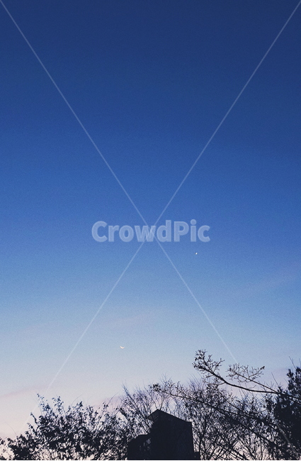 sky,moon,dawn sky,old moon,tree,dawn