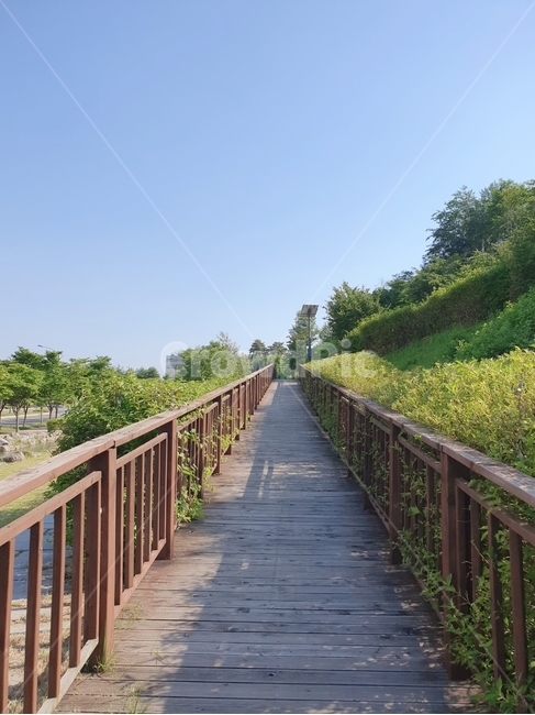 다리,산책로,난간,bridge,오르막길
