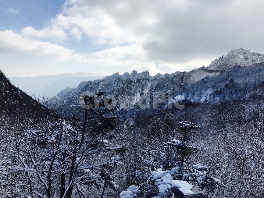 설산,눈,나무,산,구름