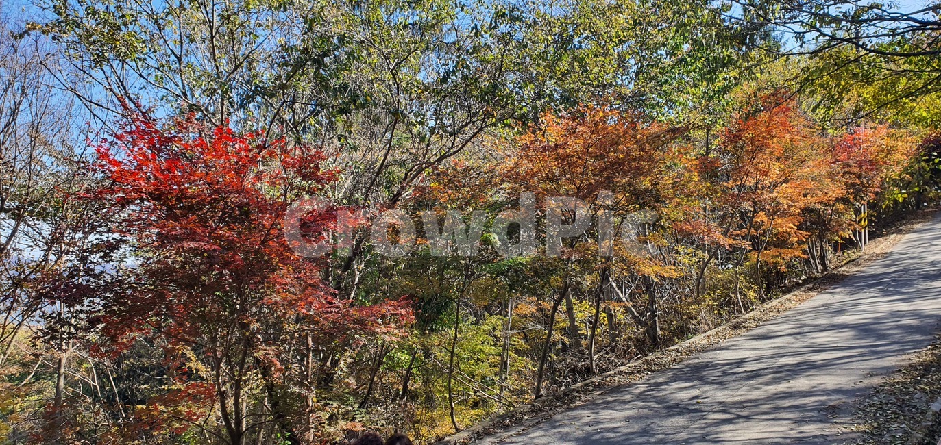 흙,가을산,푸른,하늘,바위,백암산,백양사,100대명산,등산,나무,구름,단풍,nature,자연,outdoors,옥외,mountainrange,산맥,mountain,산,가을,계절,fall,autumn,season,tree,plant,식물
