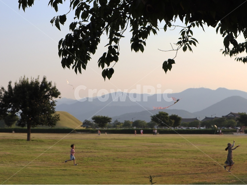 field,들,노을,해질녘,연날리기,연,아이,엄마,가족,아들
