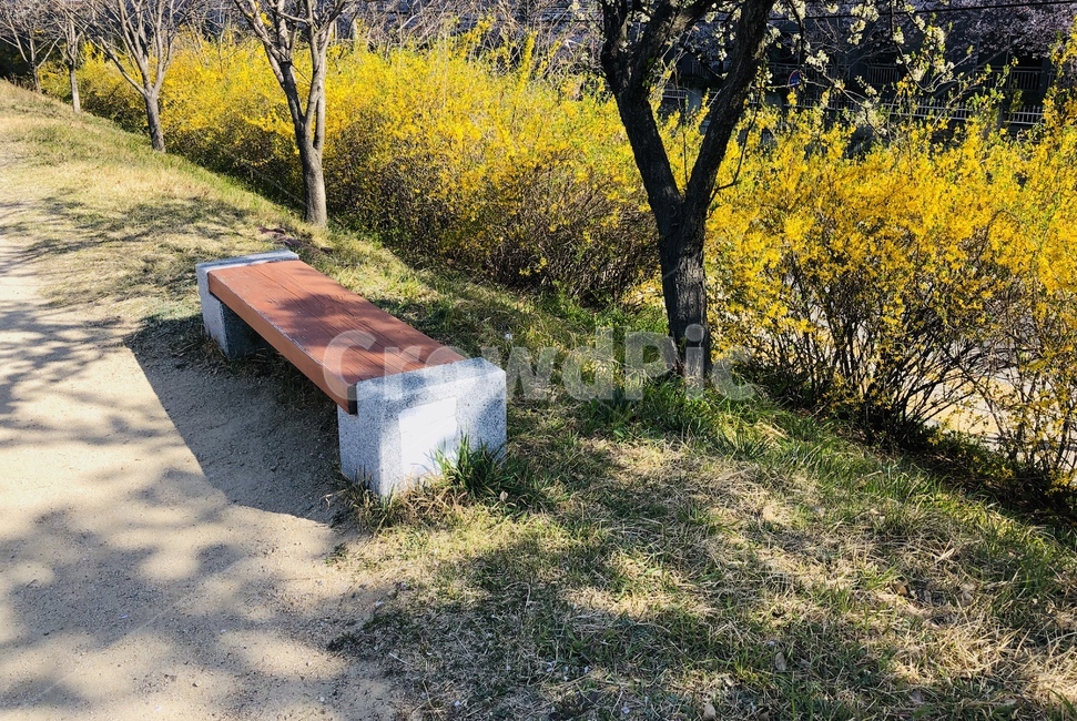 벤치,초봄,노란꽃,사람없는벤치,그림자진벤치,자연,풍경,nature,landscape,park bench,공원 벤치,bench