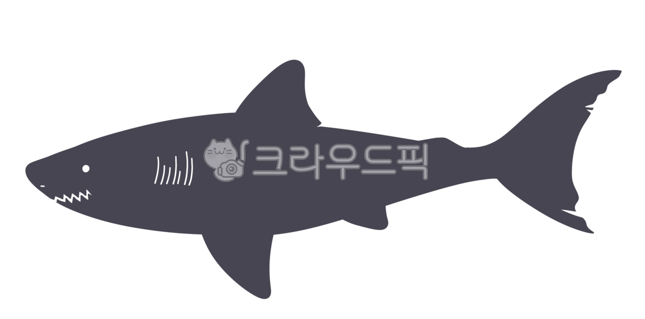 상어일러스트,상어,shark,상어그림자,죠스,샤크,해양생물,바다생물,물고기,어류,fish,sea,sealife