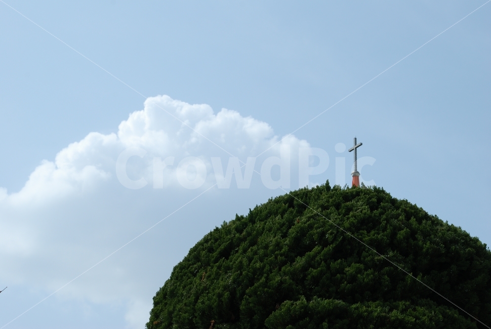 구름,십자가,하늘,성당,교회,하얀,나무,자연,풍경,nature,landscape,outdoors,옥외,weather,날씨,sky,cumulus,적운,cloud
