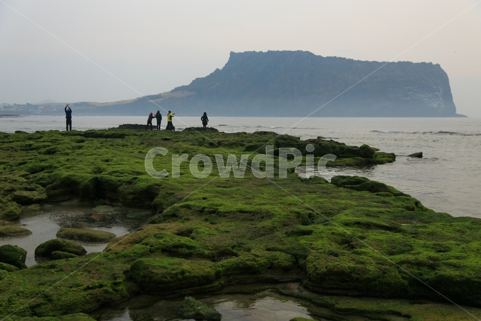 제주,성산일출봉,일출,이끼,해변,바닷가,사람,파도,아침,광치기해변,자연,풍경,자연,풍경,nature,landscape,한국자연풍경,한국자연경관,korea nature landscape,제주도,jeju,jeju island,land,땅,outdoors,옥외,human,인간,person,water,물,plant,식물