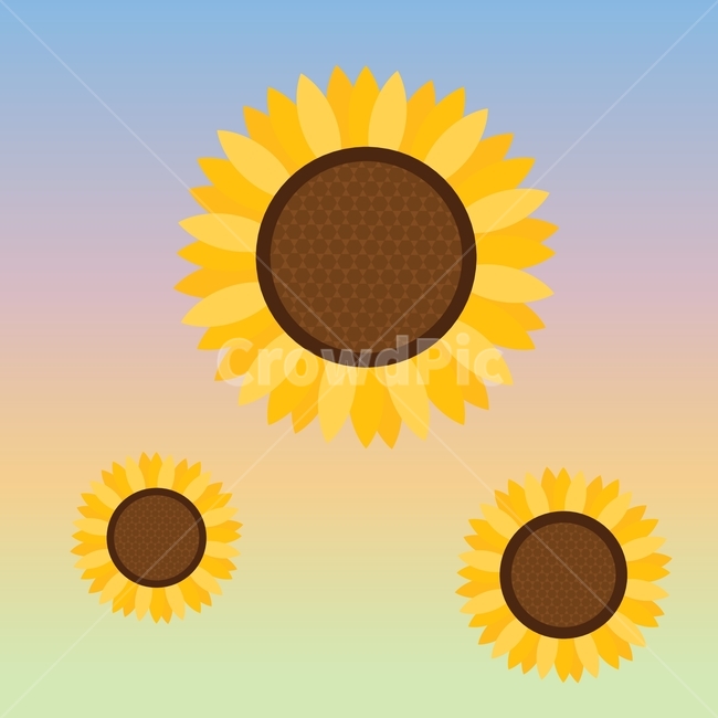 해바라기,해바라기일러스트,꽃일러스트,꽃,sunflower,flower,해바라기ai,그래픽,일러스트레이션,graphic,illustration