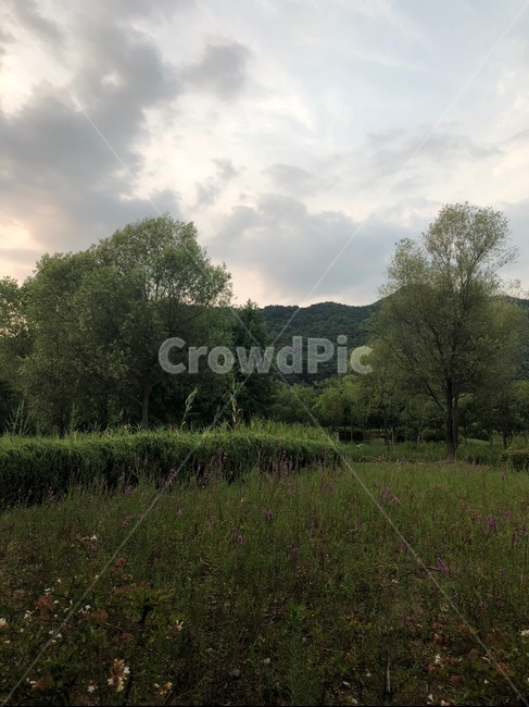 구름,하늘,자연,풍경,나무,숲,산