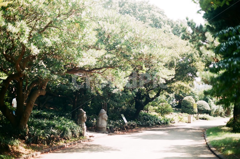 여름,제주도,돌하르방,길,나무,자연,풍경,nature,landscape,제주도,jeju,jeju island,outdoors,옥외,arbour,정자,garden,정원