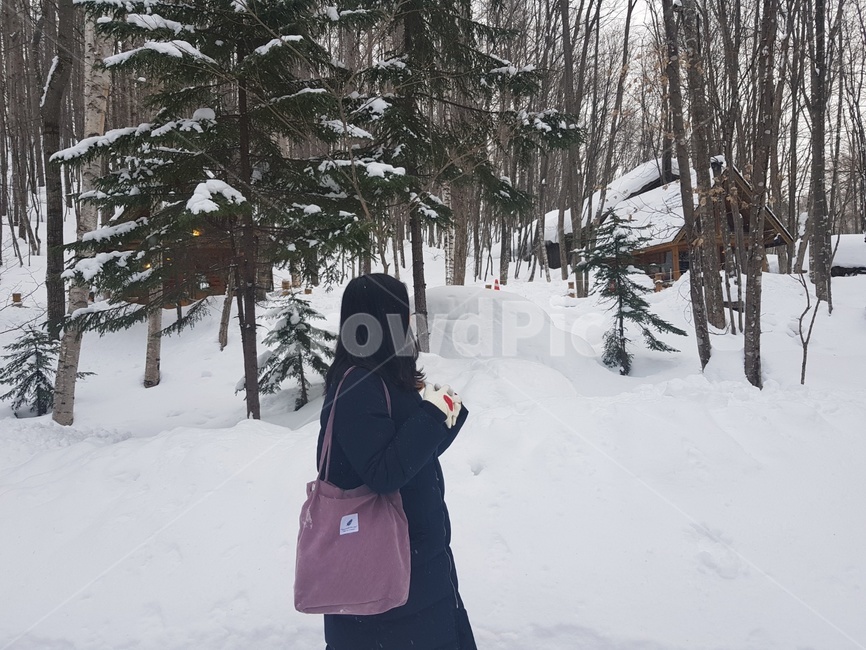 눈,삿포로,비에이투어,크리스마스트리,훗카이도,겨울,겨울,계절,winter,season,해외,외국,세계,foreign,oversea,world,사람,인물,인간,human,person,여성,여자,woman,female,lady,여행,휴가,traveling,vacation,trip