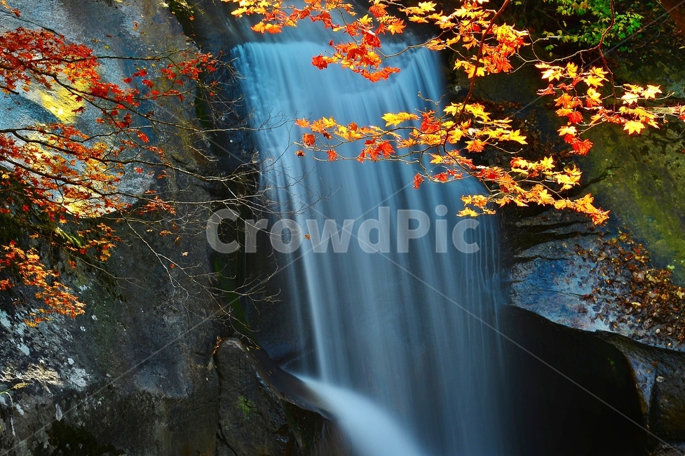 waterfall,폭포,water,물,nature,자연,river,강,outdoors,옥외,plant,식물,leaf,잎,강원도,인제,방태산,방태산폭포,방태산이단폭포,방태산가을,단풍,추색,낙엽,단풍잎,자연,풍경,nature,landscape