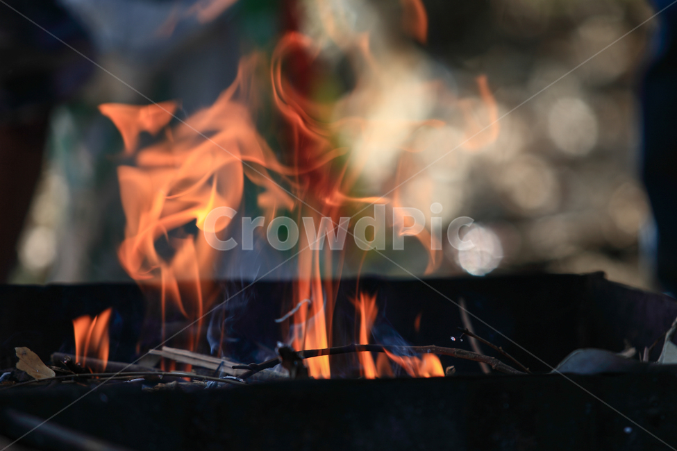 fire,bonfire,모닥불,불,숯