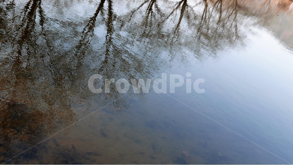 호수,연못,나무,투영,하늘,자연,풍경,nature,landscape,water,물