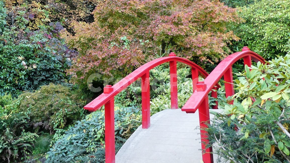 bridge,garden,다리,정원,landscape