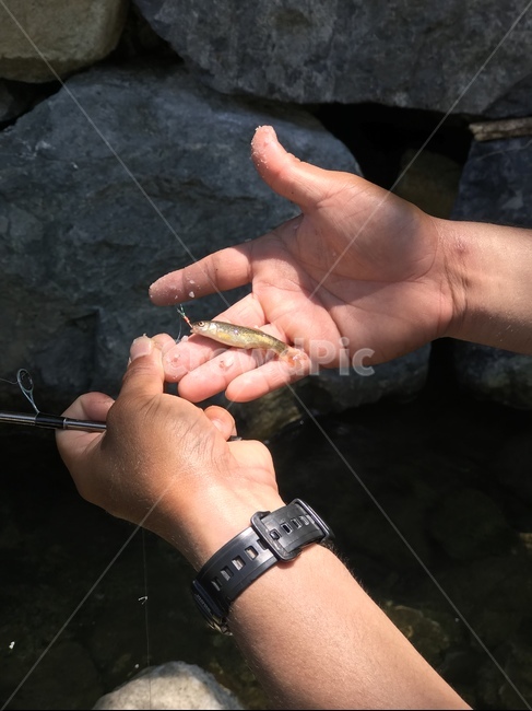 Valley,summer vacation,Pisces,fish,fishing,summer