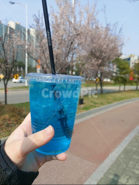 블루,블루레몬에이드,꽃,마실것,음료