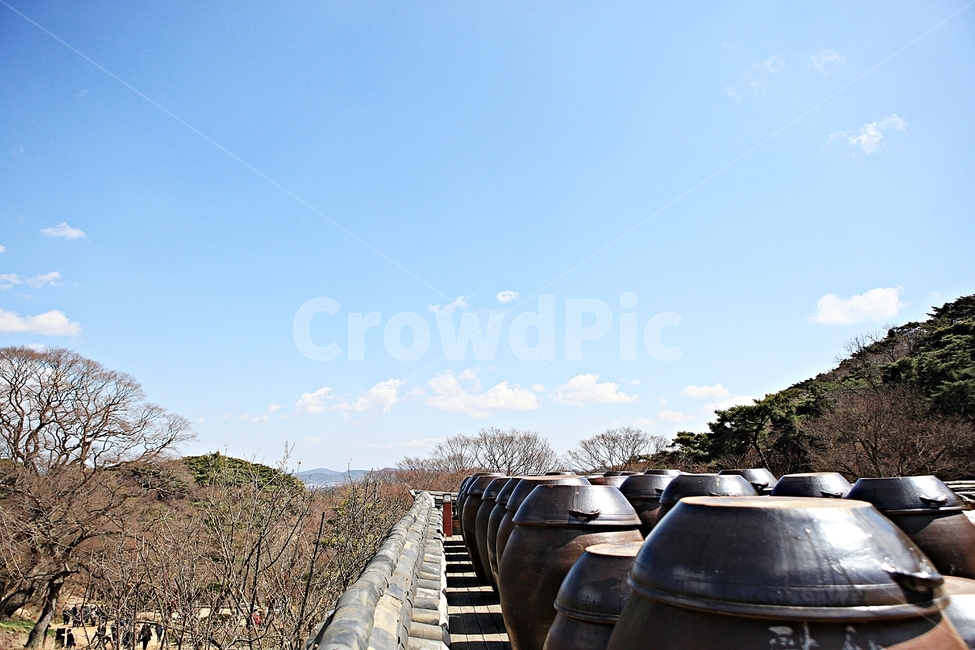항아리,장독대,독,풍경,자연,장,배경,먹거리,음식,식자재,한국전통,한국문화,korean traditional,korean culture,사물,물건,오브젝트,thing,object,matter