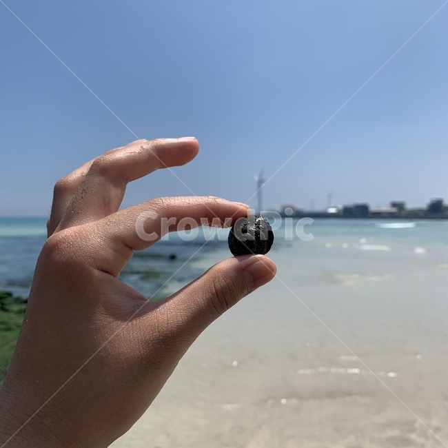 소라게,소라,게,바닷가,제주도