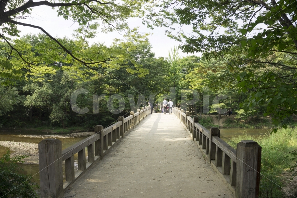 민속촌,다리,전통,문화,풍경,한국민속촌,한국,여행,추상,매력,배낭,최고,개념,디자인,유명한,경복궁,그림,삶,추천관광,관광,휴가,벡터,사랑,용인,학교,민속,경로,여행지도,곡예,건축,깃발,비행기,줄타기,평면,가이드,여성,남성,자연,풍경,nature,landscape,사람,인물,인간,human,person,handrail,난간,banister,railing