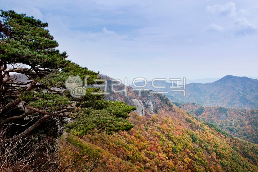주왕산,산,단풍,풍경,아름다운,다양한,나무,숲,바위,암석,하늘,가을,경관,경치,자연