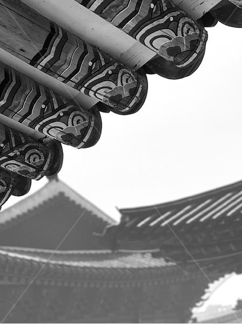 경복궁,한옥,기와,기와집,궁궐,흑백,ancientpalace,GyeongbokgungPalace,고궁