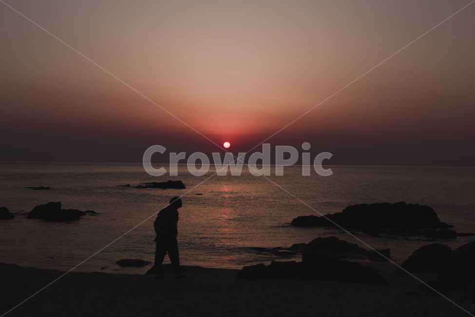 정동진,노을,일출,일몰,동해안,감성,힐링,치유,healing,풍경,핑크,하늘,바닷가,해변,해,태양,쓸쓸