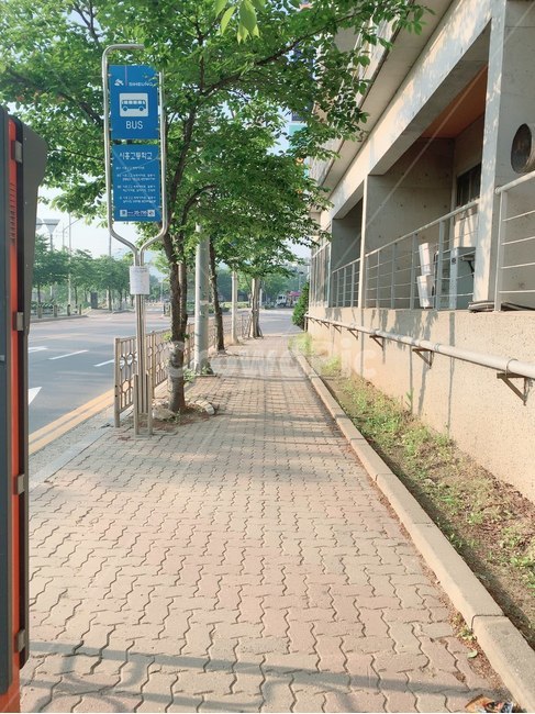 정류장,버스정류장,길거리,감성,골목