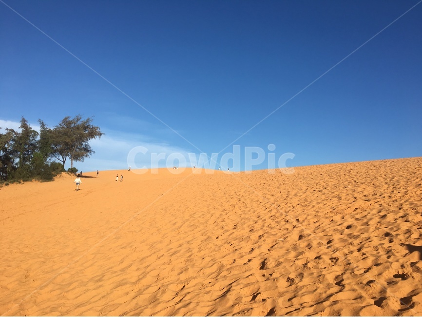 베트남,무이네,사막,레드샌듄,모래사구,하늘,나무,흔적,sand,모래,고요한,적막한,세계자연풍경,해외자연풍경,모래언덕,자연,풍경,nature,landscape,해외,외국,세계,foreign,oversea,world,세계자연풍경,해외자연풍경,외국자연풍경,world nature landscape,사람들,대중,군중,other people,crowd,soil,흙,모래,outdoors,옥외,dune,모래 언덕