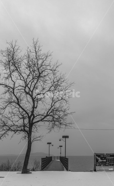 장봉도,공원,바닷가,섬,설경,전망대,휴가,외톨이나무,자연,풍경,nature,landscape,흑백,모노톤,monochrome,black and white