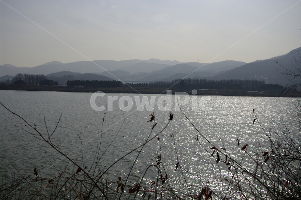풍경,겨울,자연,나무,강,산,식물