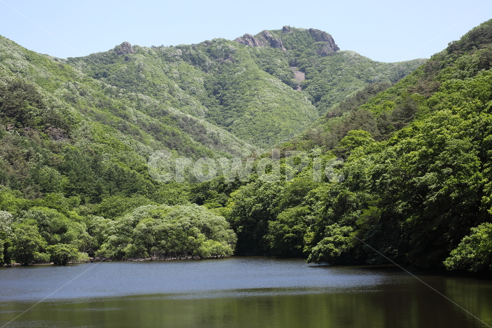 저수지,주산지,산,봄,주왕산,청송,자연,풍경,nature,landscape,한국자연풍경,한국자연경관,korea nature landscape,outdoors,옥외,water,물