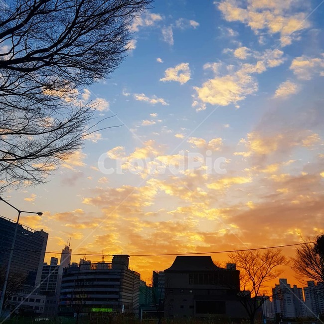 하늘,가을하늘,가을,노을,구름,경치,높음,도시,풍경,city,landscape,nature,자연,outdoors,옥외,sunlight,햇빛