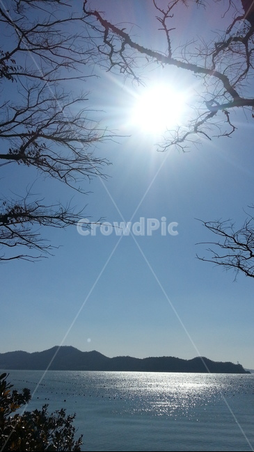 flare,플레어,햇빛,sunlight,자연