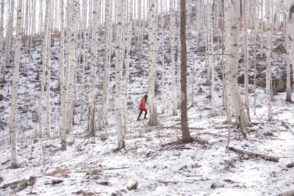 자작나무,빨간코트,겨울,홍천,눈,겨울,계절,winter,season,사람,인물,인간,human,person,여성,여자,woman,female,lady,여행,휴가,traveling,vacation,trip,색깔,색상,색채,색감,color sense,color sensitivity,feeling of color