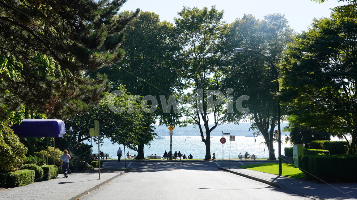 해변,나무,여름,맑음,바닷가,자연,풍경,nature,landscape,road,도로,intersection,교차로