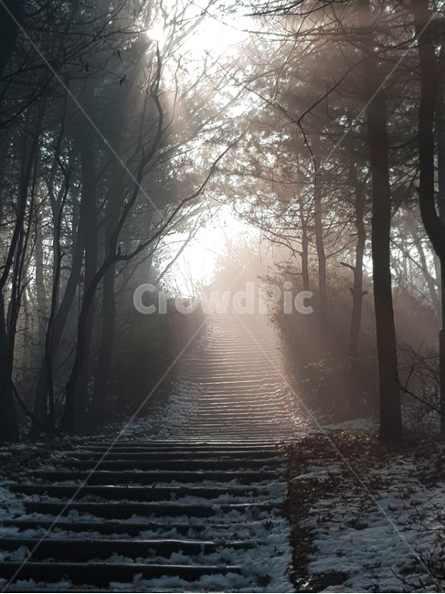산,풍경,눈,빛,나무