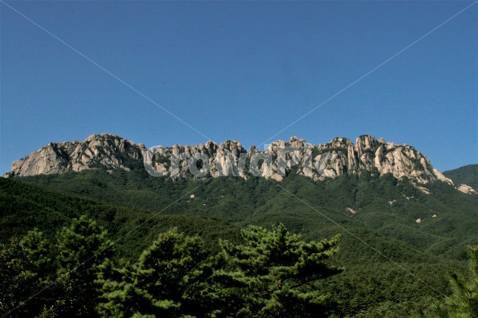 설악산,설악,울산바위,풍경,강원,자연,풍경,nature,landscape,한국자연풍경,한국자연경관,korea nature landscape,mountain,산,mountain range,산맥,outdoors,옥외,tree,나무,plant,식물,fir,전나무,abies,아비,peak,피크
