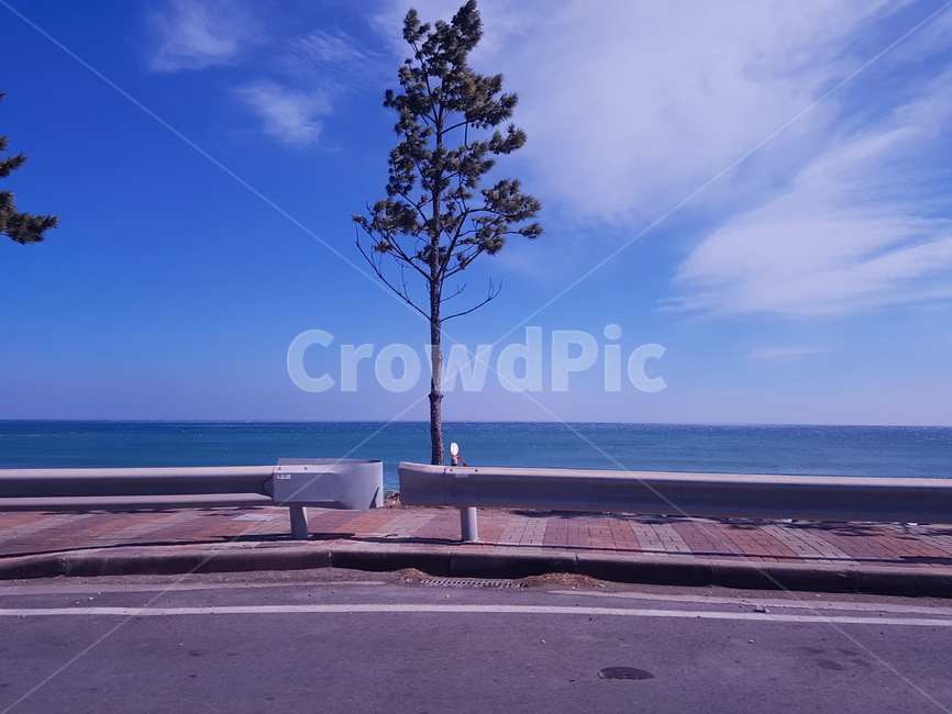 tree,나무,구름,길,road,식물,plant,도로,바람,clouds,자연,풍경,nature,landscape