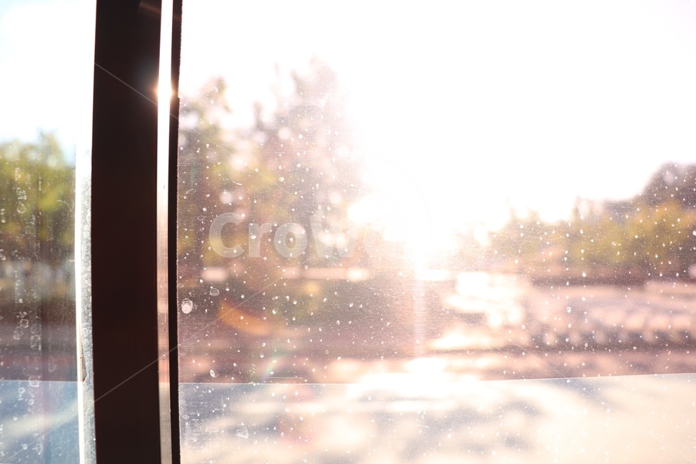 빛,버스,창문,창가,풍경,light,outside,window,shadow,그림자,자연광,버스창가,창틀,거리,외부,바깥,분위기,밝은,화사한,행복한,도로,나무,하늘,bus