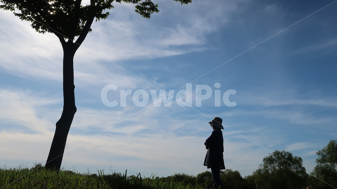 중년여성,실루엣,모자,여성,woman,hat,나무,하늘,sky,blue,cloud,풍경,언덕,hill,사람,중년,human,인간,person,tree,여자,자연,풍경,nature,landscape,실루엣,그림자,silhouette,shadow