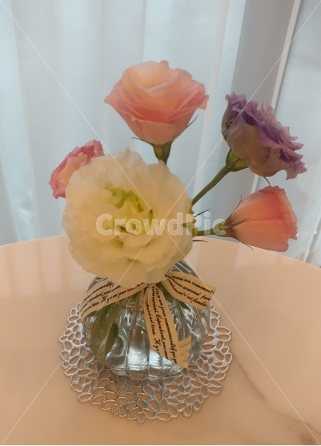 flower,식물,꽃,생화,플라워,식물,자연,plants,nature,꽃,flower