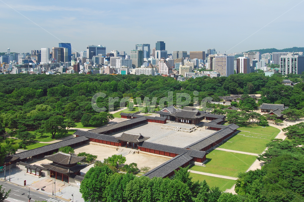 창경궁,궁,고궁,궁궐,도시,도심,서울,풍경,현대,문화재,사적,역사,빌딩,스카이라인,고층빌딩,하늘,녹지,그린,숲,환경,도시풍경,하이앵글,탑앵글,아름다운,명소,건축,건축물,건물,전통,전통건축,전통건축물,고건축,홍화문,명정문,명정전,자연,한국