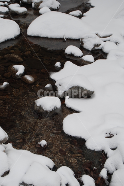축령산,겨울,자연휴양림,눈,탐방로,겨울,계절,winter,season,자연,풍경,nature,landscape,outdoors,옥외