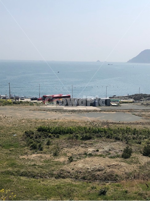 오륙도,노란꽃,풀잎,바다,섬,자연,풍경,nature,landscape