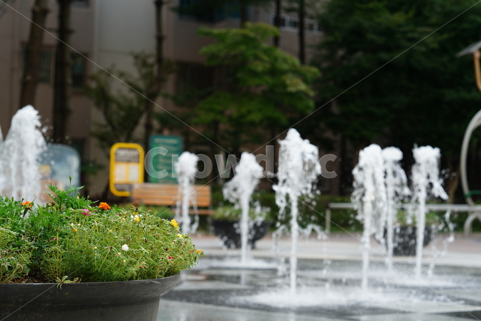 물,분수,워터,water,풍경,여름,계절,summer,season